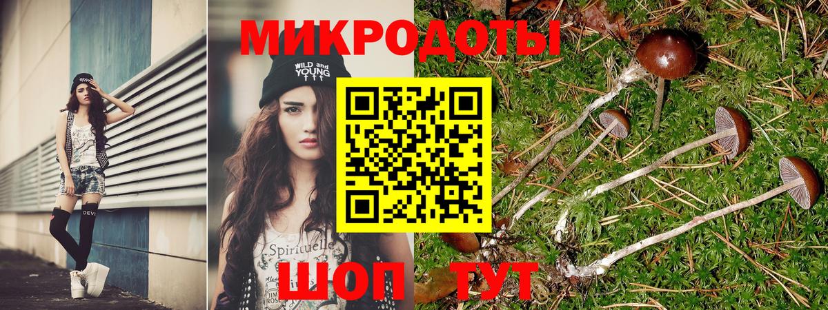 Галлюциногенные грибы Cubensis  Вход с VPN  Острогожск 